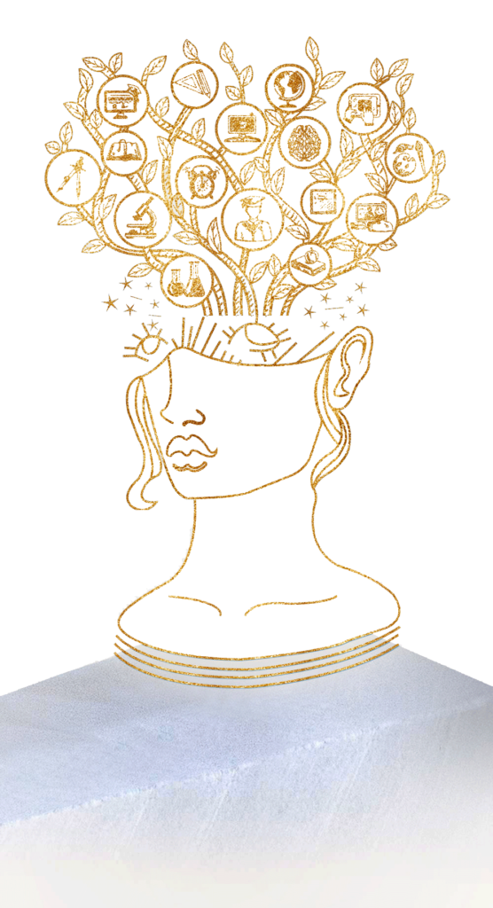transparent-brain-new-ready